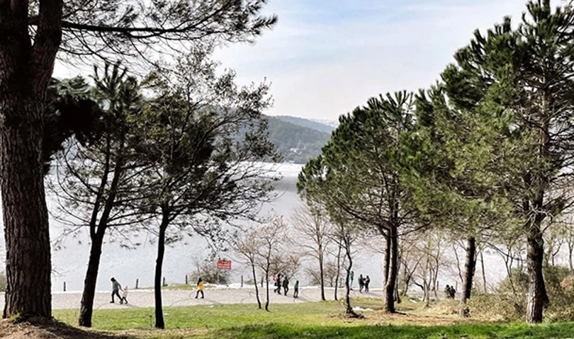 Moda nerede? Moda’da alkol içmek yasak mı?