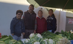 CHP'li Şen: Çiftçinin ürünü Urlalının kapısında olacak