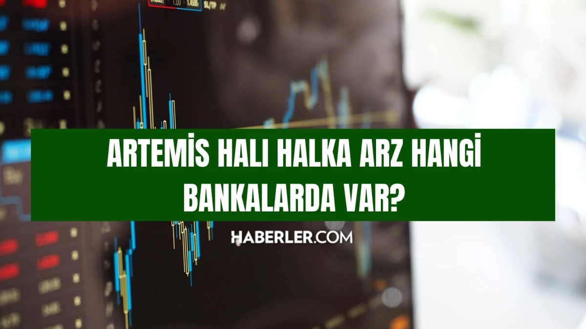 ARTEMİS HALI HALKA ARZ HANGİ BANKALARDA VAR? Artemis Halı halka arz katılım endeksine uygun mu, nereden alınır?