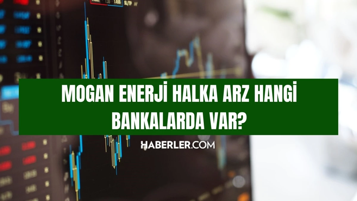 MOGAN ENERJİ HALKA ARZ HANGİ BANKALARDA VAR? Mogan Enerji halka arz katılım endeksine uygun mu, nereden alınır?