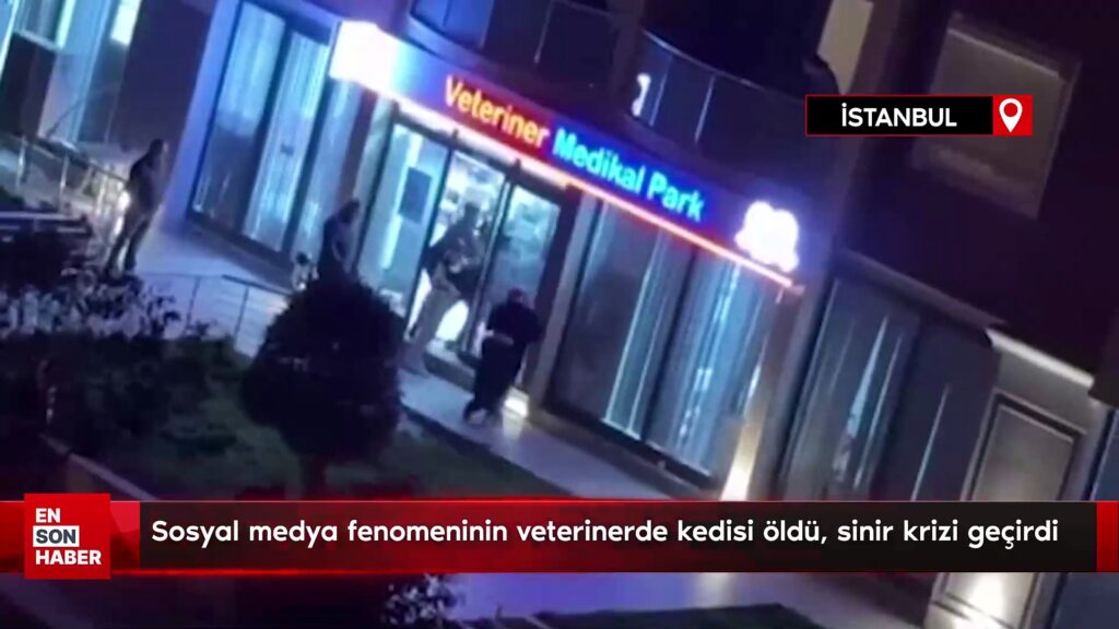 Sosyal medya fenomeninin veterinerde kedisi öldü, sinir krizi geçirdi